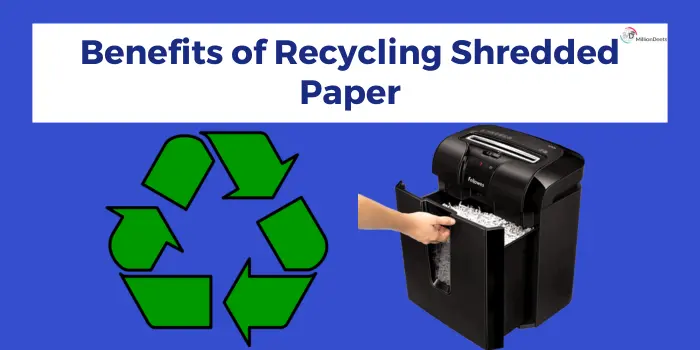 Benefits of Recycling Shredded Paper