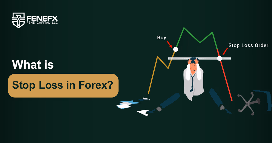 Forex Brokers and Risk Management: Understanding the Importance of Stop Losses and Limits
