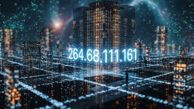 264.68.111.161: The Intriguing World of IP Addresses